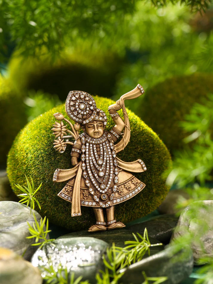 Divine Shrinathji Brooch Main image
